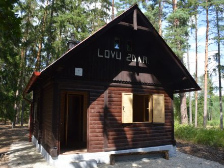 Accommodation in Forest Cabins