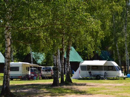 Napsali o nás: Na Stříbrňáku už se psi nevykoupou, v areálu smí být navíc pouze na vodítku