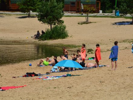 O kvalitě vody ve Stříbrném rybníce a možných řešeních