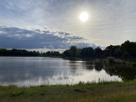 Kvalitu vody ve Stříbrném rybníce zlepší candáti